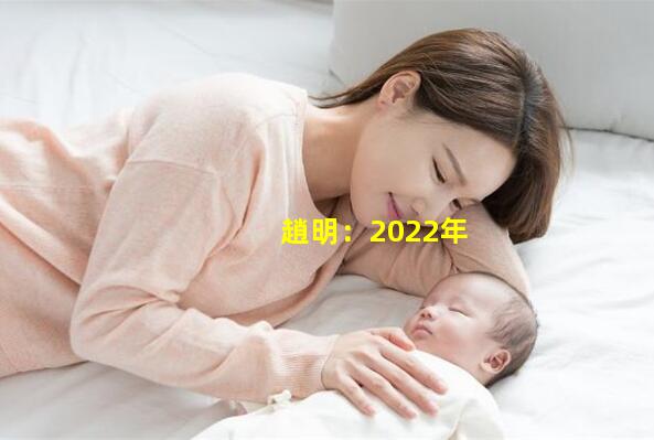             趙明：2022年是榮耀開啟海外市場的元年